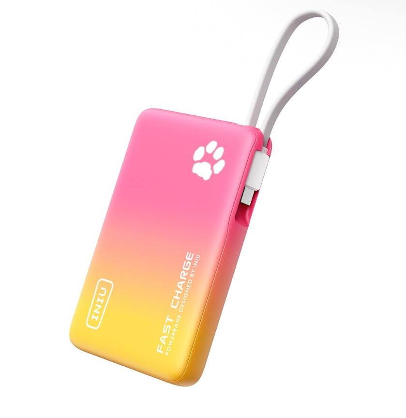Custom junk portable charger