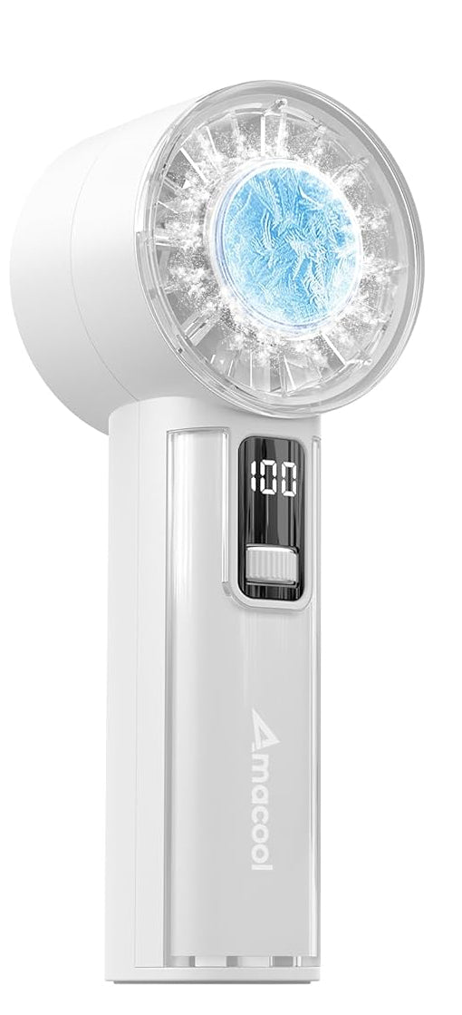 Custom junk electric portable fan