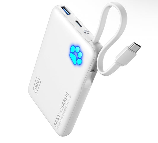 Custom junk portable charger